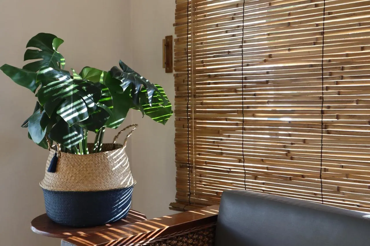 3B Hostel Playa del Carmen Mexiko